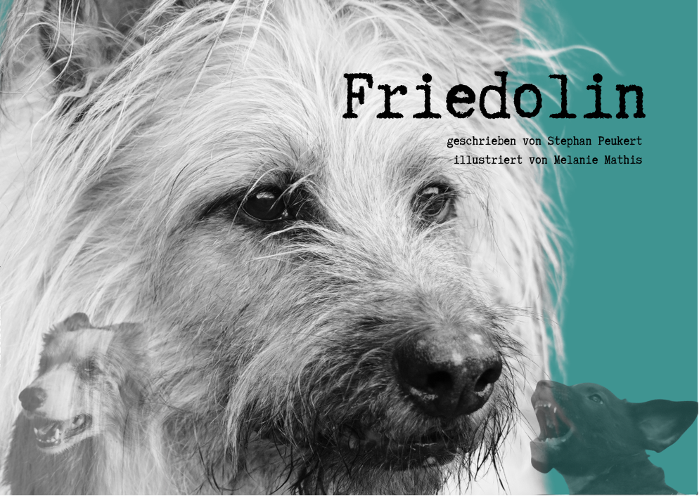 Friedolin, Strassenhund, Living the Dog, Stephan Peukert, Bilderbuch über Hunde, besonderes Bilderbuch, unschooling, Hunde verstehen